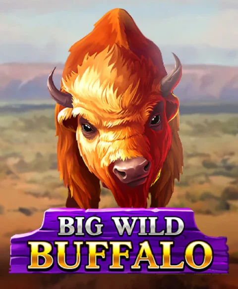 Play Big Wild Buffalo at Twice Dice Casino